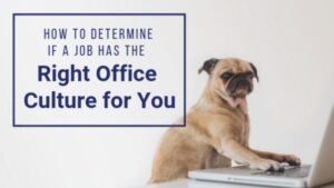 How to Determine if a Job has the Right Office Culture For You