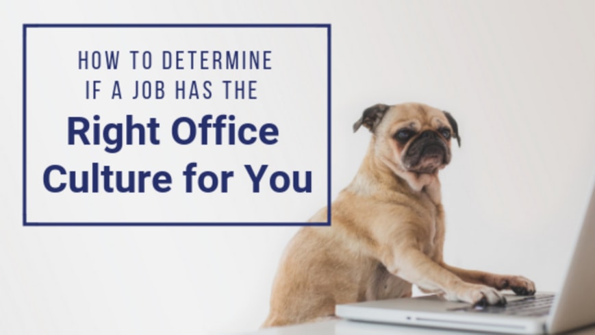How to Determine if a Job has the Right Office Culture For You
